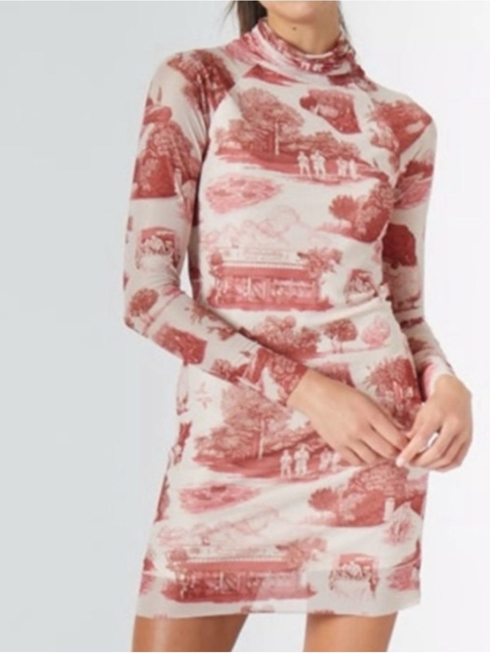 RACHEL ANTONOFF Lilly mesh long sleeve turtle neck toile mini dress size medium